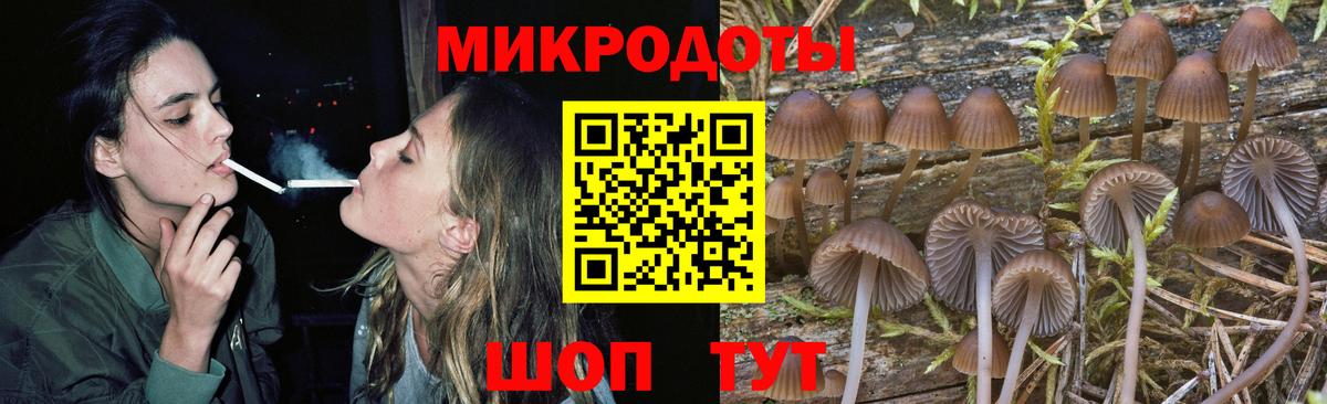 Галлюциногенные грибы Cubensis Киселёвск