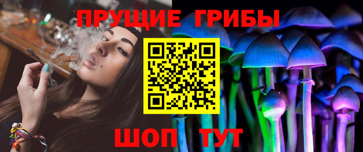 купить наркоту  Вход с VPN  Киселёвск  Псилоцибиновые грибы мицелий 